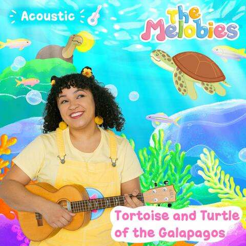 Tortoise and Turtle of the Galapagos (Melobies Acoustic Version)