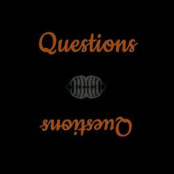 Questions (feat. Lil CG)