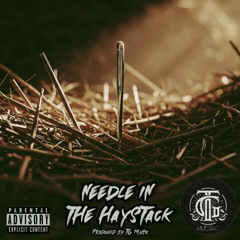 Needle in the Haystack