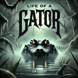 Life Of a Gator