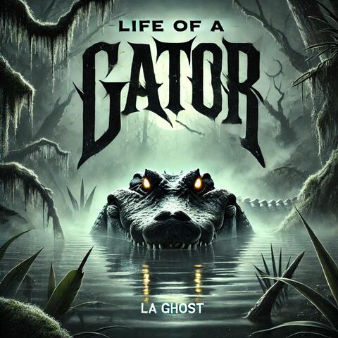 Life Of a Gator