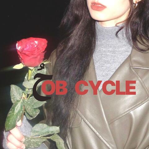 HOB CYCLE