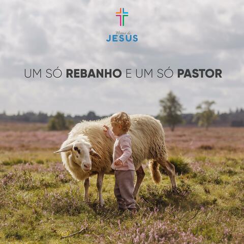 UM SÓ REBANHO E UM SÓ PASTOR