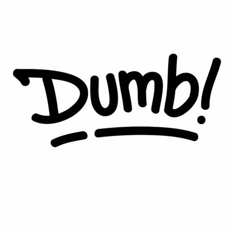 Dumb Shiid