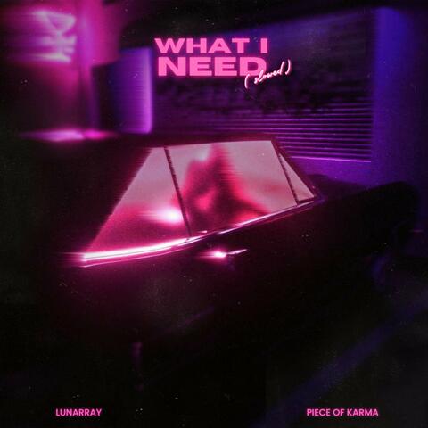 What I Need (slowed) (feat. Piece Of Karma)