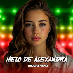 Melô de Alexandra (feat. Laercio Mister Produções) (Reggae Remix)