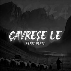 Çavreşe Le (Kurdish Trap)