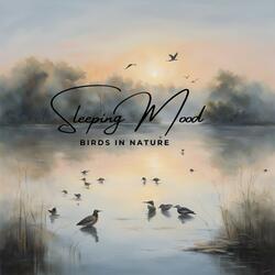 Calming bird sounds in nature