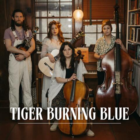 Tiger Burning Blue