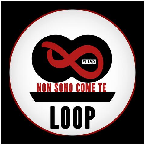 Non Sono Come Te