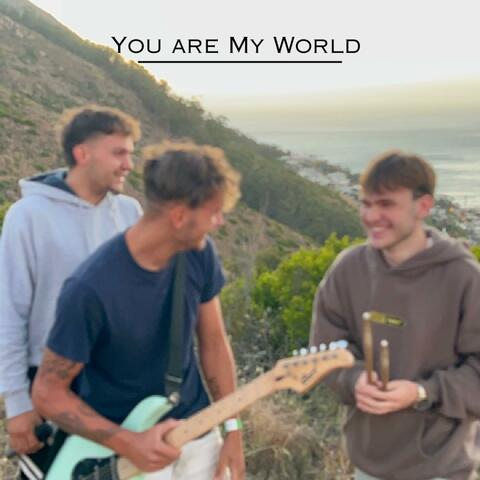 You Are My World