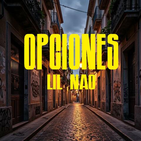 Opciones