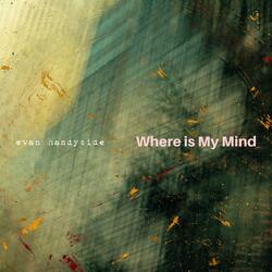 Where is My Mind (Fingerstyle Guitar)