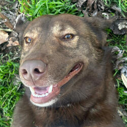 all these bitches say im full of cap, i must be the captain