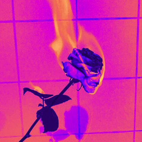 Unforgiving