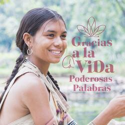 Gracias a la Vida - Canciones de Gratitud y Elevación