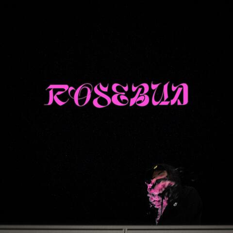 ROSEBUD
