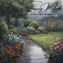 Relaxing rain and thunder sounds