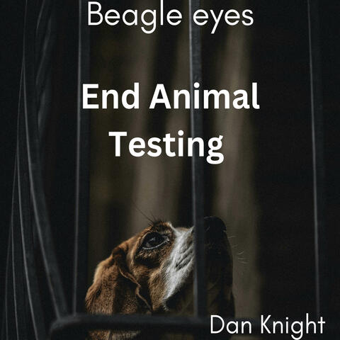 Beagle Eyes