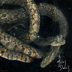 pilot (Instrumental)