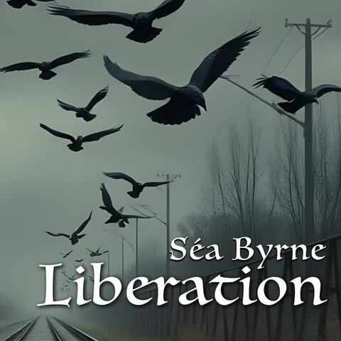 Liberation