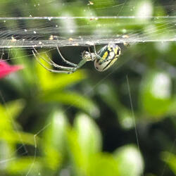 On the Web!