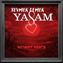 SEVMEK DEMEK YAŞAM
