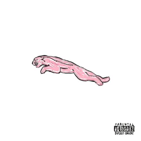 Cyclical/Pink Panther