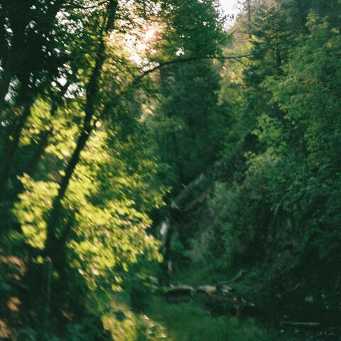 If There's a Way