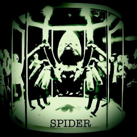 SPIDER