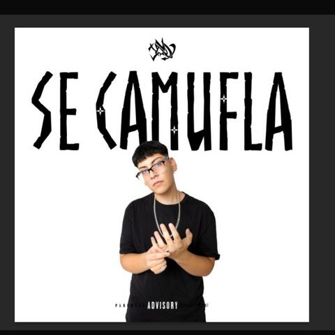 Se camufla