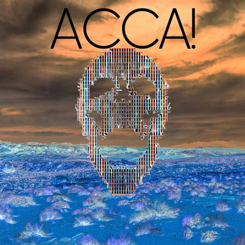ACCA!