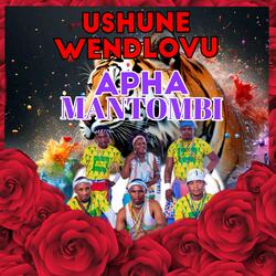 APHA MANTOMBI (Radio Edit)