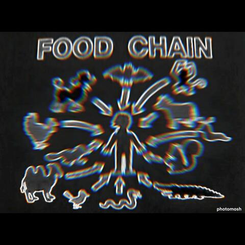 FOOD CHAIN