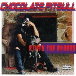 Houston (feat. Youngassnico)