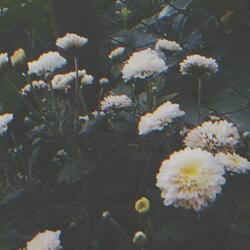 reassurance (feat. mikami kata)
