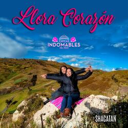 Llora Corazón
