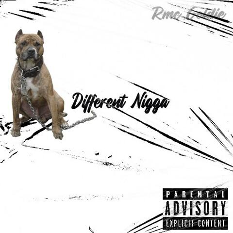 Different Nigga