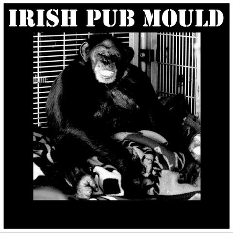 Irish Pub Mould