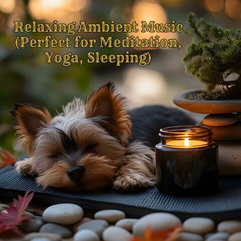 Relaxing Ambient Music (Perfect for Meditation, Yoga, Sleeping)