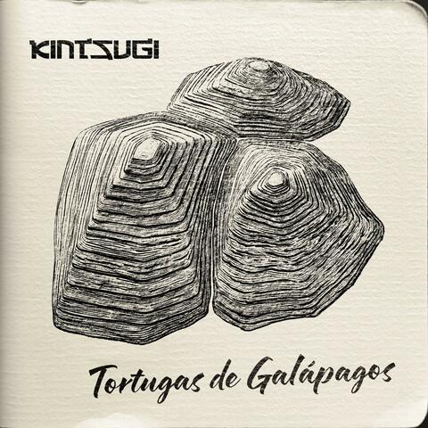 Tortugas de Galápagos
