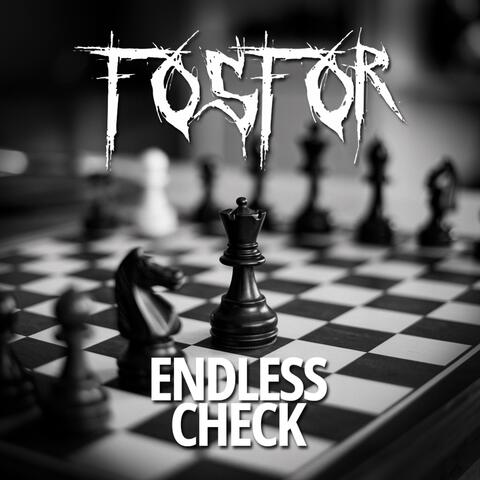Endless Check