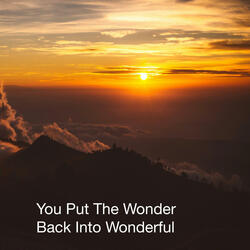 You Put The Wonder Back Into Wonderful