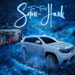 Snow Hawk