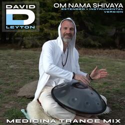 Om Nama Shivaya (Medicina Trance Instrumental Version)