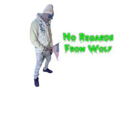 No Regards From Wolf
