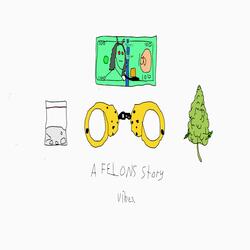 A Felons Story