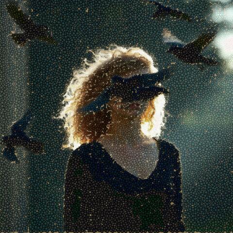 Blackbirds