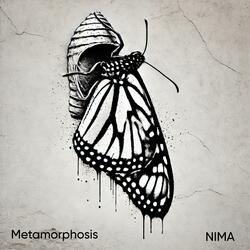 Metamorphosis