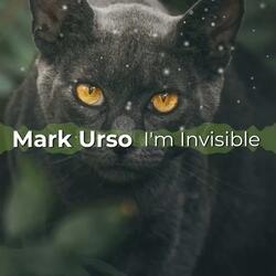 I'm Invisible